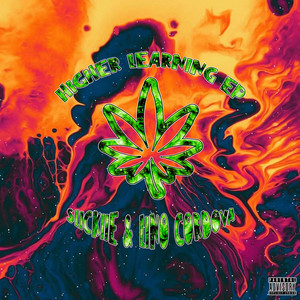 Higher Learning cover