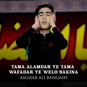 Asghar Ali Bangash - Tama Alamdar Ye Tama Wafadar Ye Welo Sakina