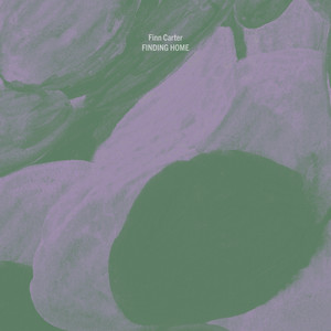 Short Stories by Finn Carter, Kaidi Akinnibi