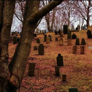 Finally Fall by Kope, Killerbee