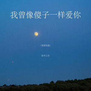 我曾像傻子一样爱你 - 草原风版 by 弦外之音