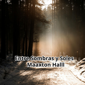 Entre Sombras y Soles by Maaxton Halll