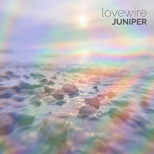 Juniper by lovewire