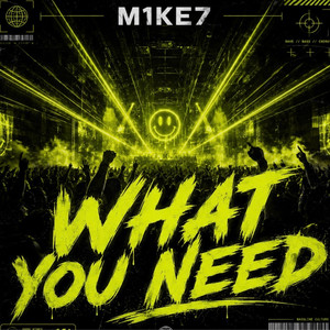 What You Need by M1KE7, Mikey B
