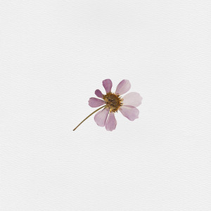 Comfortable by Kaluba