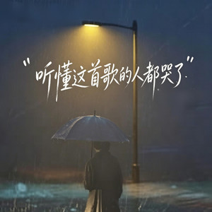 听懂这首歌的人都哭了 （男生版） by 啊润-抖音Music