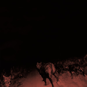 Shadow on Everything cover