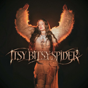 ITSY BITSY SPIDER by AM STAR