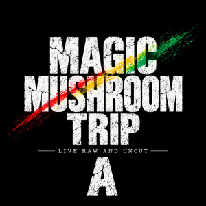 Magic mushroom trip (Live) - Special Version by Half Tree