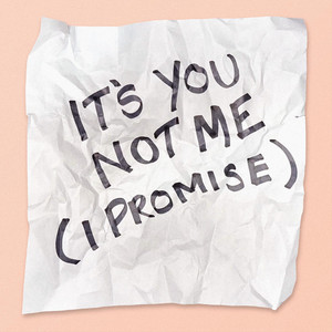 It's You, Not Me (I Promise) by City Circuits
