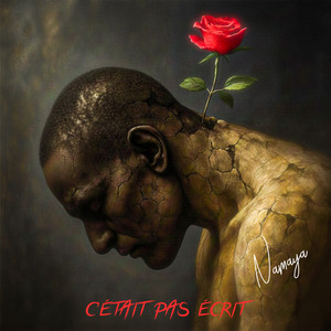C’ÉTAIT PAS ÉCRIT by Namaya