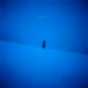 cloudwalk by fauxe., ID10