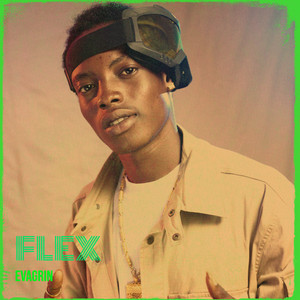 Flex by Evagrin
