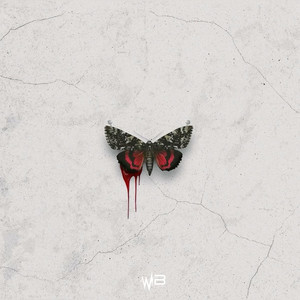 LETTER TO ABOBI by Waveboygramm