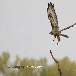 Falling up by Rowan Guthrie