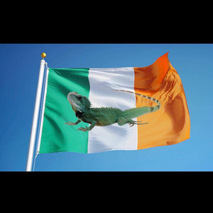 slimeschoolboiii9 - Irish Lizard (feat. Peyton Takacs & c5)