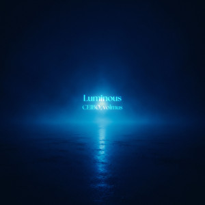 Luminous by CEIBØ, volmus