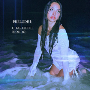 Not Like You by Charlotte Biondo