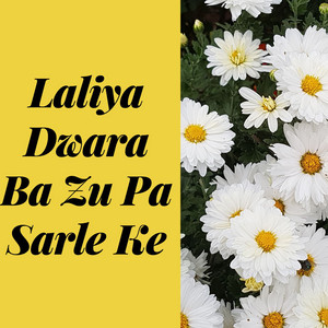 Wazir Khan - Laliya Dwara Ba Zu Pa Sarle Ke