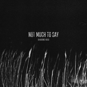 Not Much To Say by Shadows Hold