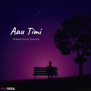 Aau Timi