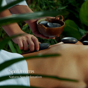 Spa Dreams: Nature Spa Relaxation album