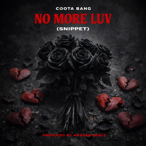 NO MORE LUV (Snippet)