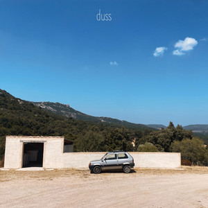 Duss by Hektor Van, Parakeet, KRYSL