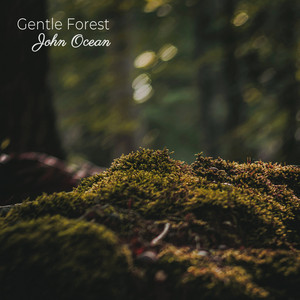 Gentle Forest by John Ocean