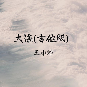 大海 - 吉他版 by 王小帅