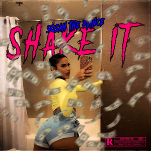 Sosah the Prince - Shake It