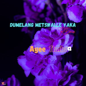 Ayee Thabza - Dumelang Metswalle Yaka (Remix)