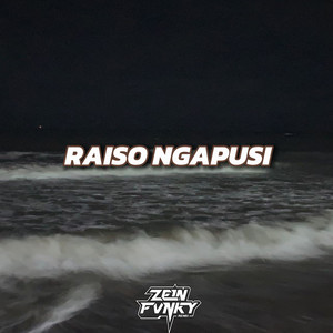 Zein Fvnky - Raiso Ngapusi