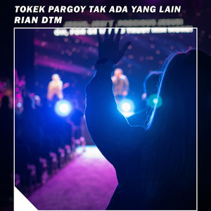 Rian DTM - DJ Tokek Pargoy X Tak Ada Yang Lain