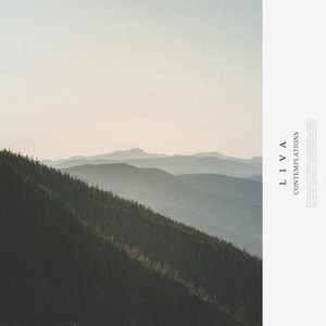 Contemplations by Liva