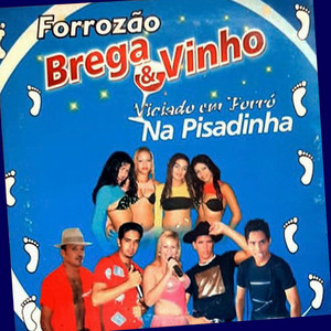Chamega by Forrozão Brega E Vinho