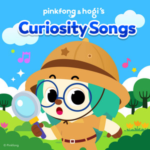 Hogi Curiosity Songs album