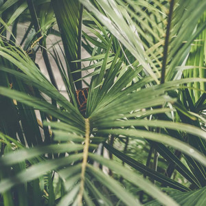 kusoke - want to sleep