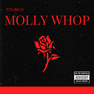 Molly Whop by NTS, NTS Rico
