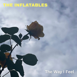 The Way I Feel by The Inflatables