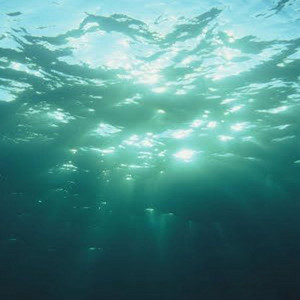 AQUA by qeis, Reesh