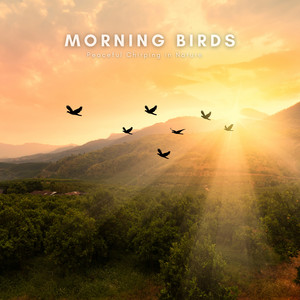 Morning Birds: Peaceful Chirping in Nature
