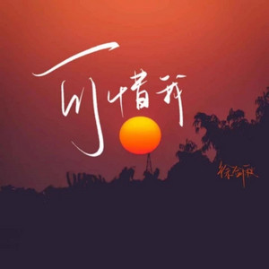 徐剑秋 - 可惜我
