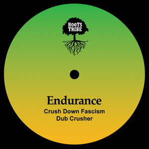 Crush Down Fascism by Endurance, Slimmah Sound