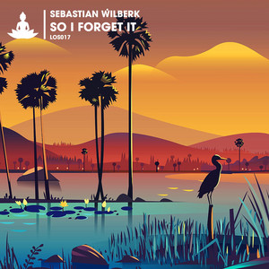 So I Forget It - Radio Edit by Sebastian Wilberk