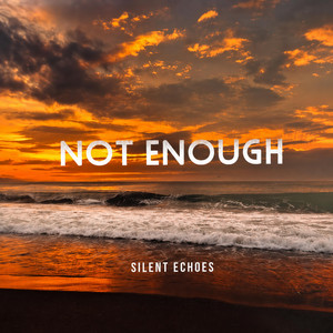 Not Enough by Silent Echoes