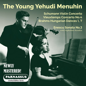 Violin Concerto in D Minor, WoO 23: II. Langsam (2025 Remastered Edition)