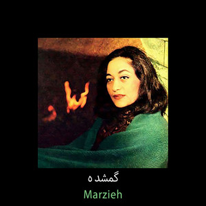گمشده - اثری ازهمایون خرم و شعر تورج نگهبان — Marzieh cover art