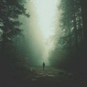 Residual Presence Field by Low Haven