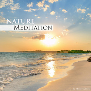 Birds in the Forest Soundscape (Forest Sounds Relaxing Spa Music Singing Birds)